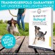 Eine Person trainiert einen Hund mit einer Leine in einem grasbewachsenen Bereich, neben einem eBook mit dem Titel 'Die Arbeit mit der Reizangel', das Trainingstipps enthält.