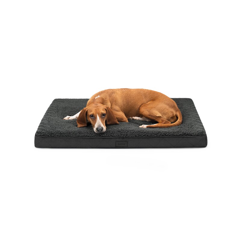 Lionto Hundematte CozyPad