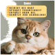 Nahaufnahme einer flauschigen orangefarbenen Katze, die sich ausruht, mit Text: "Reinigt die Haut, spendet Feuchtigkeit, enthält Aqua-Gel, schützt vor Schädlingen."