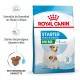 Royal Canin Starter Mini Hundefutterbeutel für Mütter und Welpen, der zwei Hunde zeigt und Gesundheitsunterstützung sowie Immunabwehr betont.