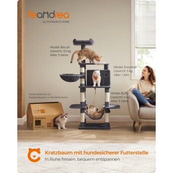 Ein mehrstöckiger Katzenbaum mit einer braunen getigerten Katze, einer weißen Katze und einer dreifarbigen Katze. In der Nähe befindet sich eine Box und ein Text über einen hundesicheren Futterbereich.