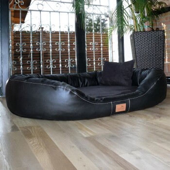 Schwarzes rechteckiges Haustierbett mit einer glatten Oberfläche und abgerundeten Kanten, entworfen für Komfort und Entspannung.