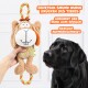Eine Hand hält ein quietschendes Plüsch-Hundespielzeug mit einem lächelnden Gesicht und einem Seilgriff, während ein schwarzer Hund zuschaut. Der Text fördert Spiel und Aufmerksamkeit.