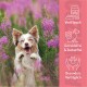 Glücklicher Hund steht zwischen lila Blumen mit deutschem Text: "Viel Fleisch," "Getreidefrei & Zuckerfrei," "Besonders Verträglich."