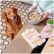 Ein Golden Retriever sitzt eifrig neben einer Schüssel mit Fleisch und Gemüse, mit einer Nutriment-Box, die "HUHN, CHICORÉE & ZUCCHINI" beschriftet ist.