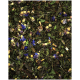 Getrocknete Kräutermischung mit grünen Blättern und bunten blauen und gelben Blumen, ideal für tierische Kräuterheilmittel.