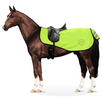 Ein braunes Pferd mit einem leuchtend grünen Sattelpad mit reflektierenden Streifen und einem schwarzen Sattel, vor einem weißen Hintergrund stehend.