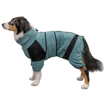 Ein Hund trägt einen türkisfarbenen und schwarzen Fleeceanzug mit Kapuze, entworfen für Wärme und Komfort.