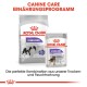 Royal Canin Hundefutterverpackung mit "Sterilised" Trockenfutter für kleine Hunde und Nassfutter für alle Größen, mit Text, der eine ausgewogene Ernährung fördert.