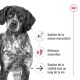 Gros plan d'un chien brun et blanc sérieux avec le texte : "Soutien musculaire", "Défenses naturelles", "Soutien à la vitalité tout au long de la vie."