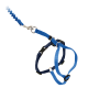 Blaues Hundegeschirr mit passender Leine, mit verstellbaren Riemen und einem Metallclip für eine sichere Befestigung.
