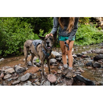 Eine Frau in einem grauen Hoodie und grünen Shorts streichelt einen glücklichen, braun gestromten Hund, der ein Geschirr trägt und auf felsigem Gelände in der Nähe eines Baches steht.