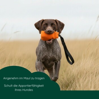 Schwarzer nasser Hund steht auf Gras und hält ein orangefarbenes Spielzeug im Maul.
