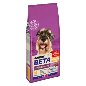 Purina Beta Senior dog food bag featuring a smiling Schnauzer, with text highlighting "New Improved Recipe" and "Chicken is #1 Ingredient."