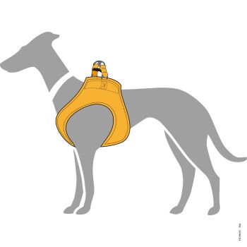 Illustration eines grauen Hundes, der ein leuchtend gelbes Geschirr trägt, das sein Design und seine Passform zeigt.