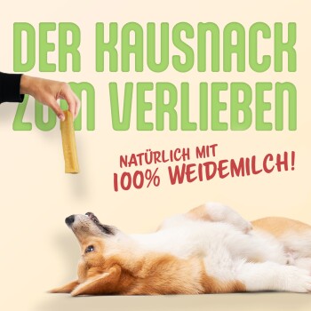 Eine Hand hält einen Hundekauartikel über einem entspannten Corgi auf dem Rücken. Text: "DER KAUSNACK ZUM VERLIEBEN" und "NATÜRLICH MIT 100% WEIDEMILCH!"