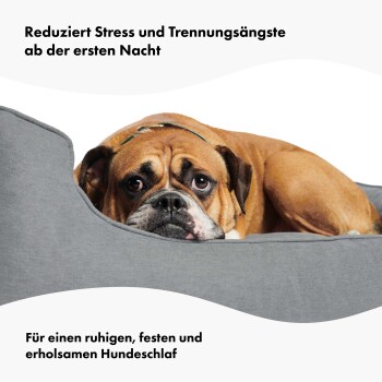 Hund ruht sich auf einem grauen Haustierbett aus, mit Text über Stressabbau und Förderung eines erholsamen Schlafs für Hunde.
