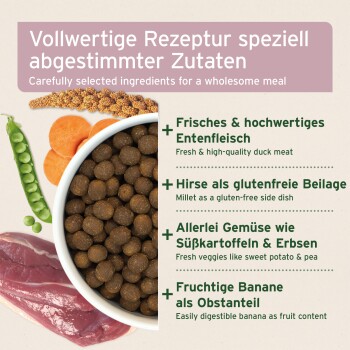 AniForte einzigartiges weiches Haustierfutter, mit runden braunen Kroketten, mit Text, der die spezielle Produktion zur Nährstoffretention und Feuchtigkeit hervorhebt.