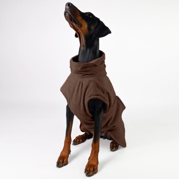 Ein Dobermann trägt einen gemütlichen braunen Fleece-Haustiersweater, sitzt aufrecht und schaut nach oben vor einem schlichten weißen Hintergrund.