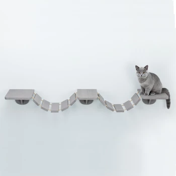 Mur d'escalade pour chats Acheter - Accessoires pour chats - LANDI