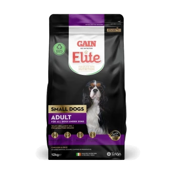 12kg bag of Gain Elite Complete Dog Nutrition for Small Dogs, featuring a Cavalier King Charles Spaniel, labeled "Adult," with Chicken & Rice.