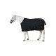 Ein weißes Pferd, das eine schwarze Pferde-Decke mit verstellbaren Riemen trägt, steht auf einem weißen Hintergrund.