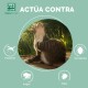 Eine Katze kratzt sich am Hals in einer sonnigen Außenumgebung, umgeben von Symbolen für Mücken, Zecken, Flöhe und Läuse, mit dem Text "ACTÚA CONTRA" darüber.