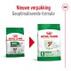 Twee Royal Canin mini hondenvoer verpakkingen voor 12+, met nieuwe verpakking en geoptimaliseerde formule. Tekst: "Nieuwe verpakking Geoptimaliseerde formule."