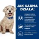 Puszysty pies siedzi na niebieskim tle z tekstem podkreślającym korzyści z karmy dla zwierząt: niski cukier, wysokiej jakości białko i zrównoważony tłuszcz.