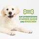 Ein verspielter Golden Retriever Welpe hält einen Kauknochen im Mund, mit dem Text "KALZIUM zur Unterstützung starker Zähne und Knochen."