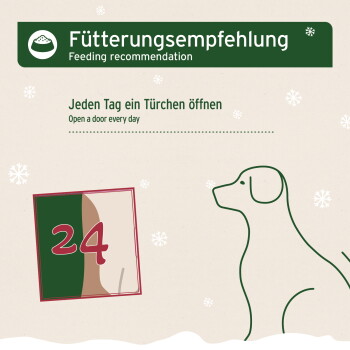 Festliches Bild der Tierfütterung mit einem Hund, "AniForte" Kalender markiert 22, und zweisprachigem Text, der das tägliche Türöffnen bewirbt.