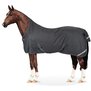 Ein braunes Pferd, das eine dunkelgraue Decke mit reflektierenden Akzenten trägt, vor einem weißen Hintergrund stehend.