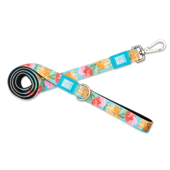 Hundeleine mit Blumenmuster, Metallverschluss und blauen Anhängern mit der Aufschrift „Max & Molly Ultimate Pet“.