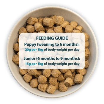 Burns Original Puppy Chicken Rice 12 kg MAXI ZOO