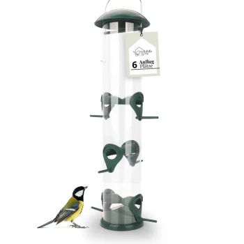 Ein transparenter Vogelhäuschen mit sechs grünen Futteröffnungen, begleitet von einem Kohlmeisen-Vogel an der Basis.