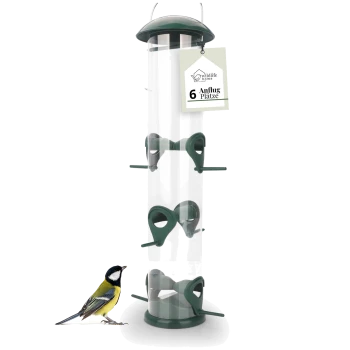 Ein transparenter Vogelhäuschen mit sechs grünen Futteröffnungen, begleitet von einem Kohlmeisen-Vogel an der Basis.
