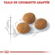 Trois croquettes rondes pour animaux de compagnie sont affichées sur un contour esquissé avec une règle, étiquetées "TAILLE DE CROQUETTE ADAPTÉE" en haut.