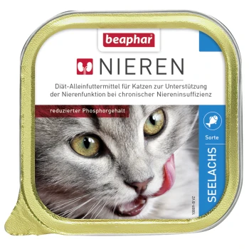 Beaphar Nieren Katzenfutterdose, mit einer Nahaufnahme einer grauen Katze, die sich die Lippen leckt. Der Text enthält "Nieren" und "reduzierter Phosphorgehalt."
