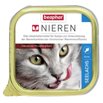 Beaphar Nieren Katzenfutterdose, mit einer Nahaufnahme einer grauen Katze, die sich die Lippen leckt. Der Text enthält "Nieren" und "reduzierter Phosphorgehalt."