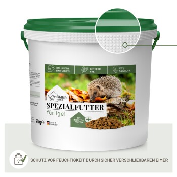 Weißer Eimer mit grünem Deckel mit der Aufschrift 'SPEZIALFUTTER für Igel', 2 kg, Etikett 'Mit Insekten-Protein'.