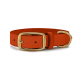 Ein orangefarbenes Haustierhalsband mit einer goldenen Schnalle und einem D-Ring zur Leinenbefestigung, auf einem weißen Hintergrund dargestellt.