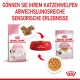 Bild zur Förderung von Royal Canin Kittenfutter: eine rosa Kibble-Tasche, eine rote Schüssel mit Futter und ein Beutel mit Nassfutter, mit deutschem Text über sensorische Erfahrungen.