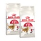 Deux sacs de nourriture pour chats Royal Canin Regular Fit, mettant en avant un chat brun et un texte sur "Nutrition de santé féline" et "Contenu optimal."