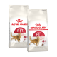 Deux sacs de nourriture pour chats Royal Canin Regular Fit, mettant en avant un chat brun et un texte sur "Nutrition de santé féline" et "Contenu optimal."