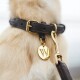 Nahaufnahme des Halses eines Golden Retrievers mit einem braunen Lederhalsband, das mit einem goldenen Anhänger mit dem Buchstaben 'W' und einem Metall-Leinenclip versehen ist.