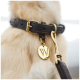 Nahaufnahme des Halses eines Golden Retrievers mit einem braunen Lederhalsband, das mit einem goldenen Anhänger mit dem Buchstaben 'W' und einem Metall-Leinenclip versehen ist.