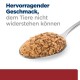 Ein Löffel voll feuchtem Haustierfutter mit dem Text "Hervorragender Geschmack, dem Tiere nicht widerstehen können" in fetter und normaler Schrift.