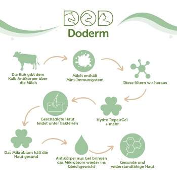 Infografik, die den Hautpflegeprozess von Doderm für Haustiere erklärt, mit einer Kuh, Milch und Schritten zur Wiederherstellung gesunder Haut mit Hydro Repair Gel.
