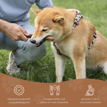 Eine Person kniet auf Gras und hält spielerisch einen Kauknochen für einen Shiba Inu, mit Text, der die Produktqualität und Sicherheit hervorhebt.
