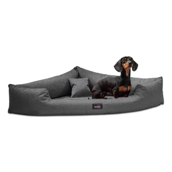 Schwarz-brauner Dackel sitzt auf einem großen grauen Haustierbett mit zwei kleinen Kissen und einem tierlando-Label.